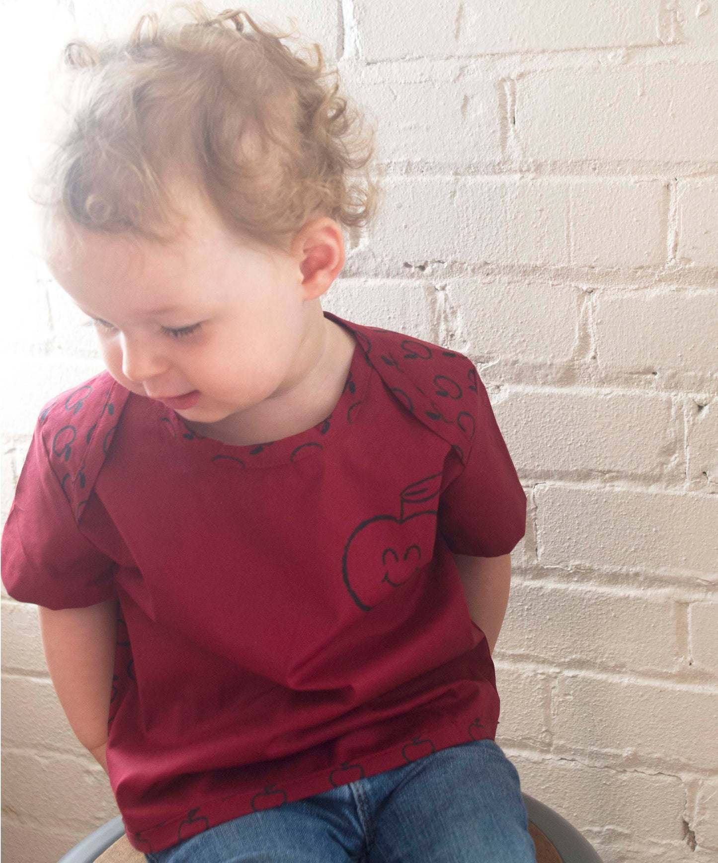 Apple Shirt DIY Sewing Kit