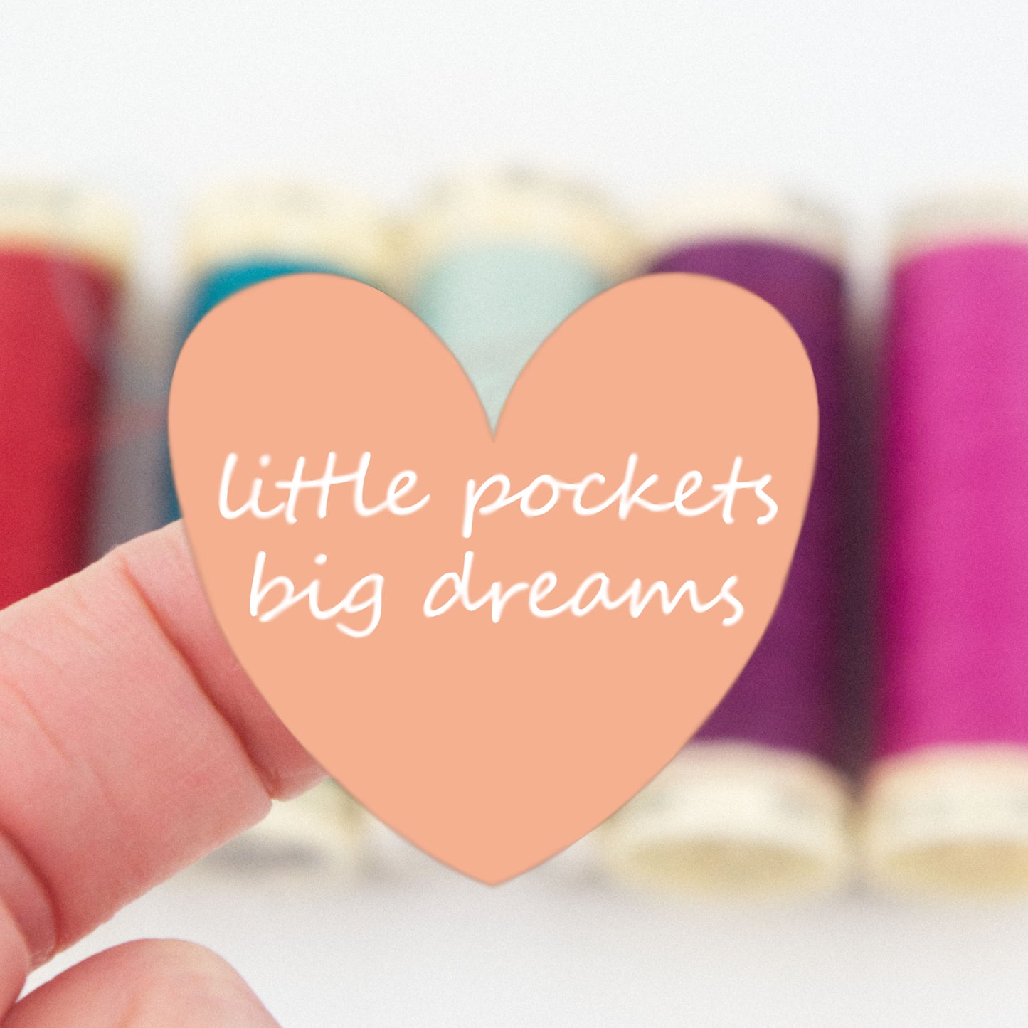 Little Pockets Big Dreams Iron on Decals